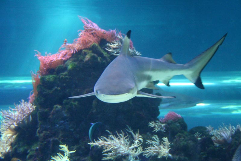 Killikus&reg; Fotographie